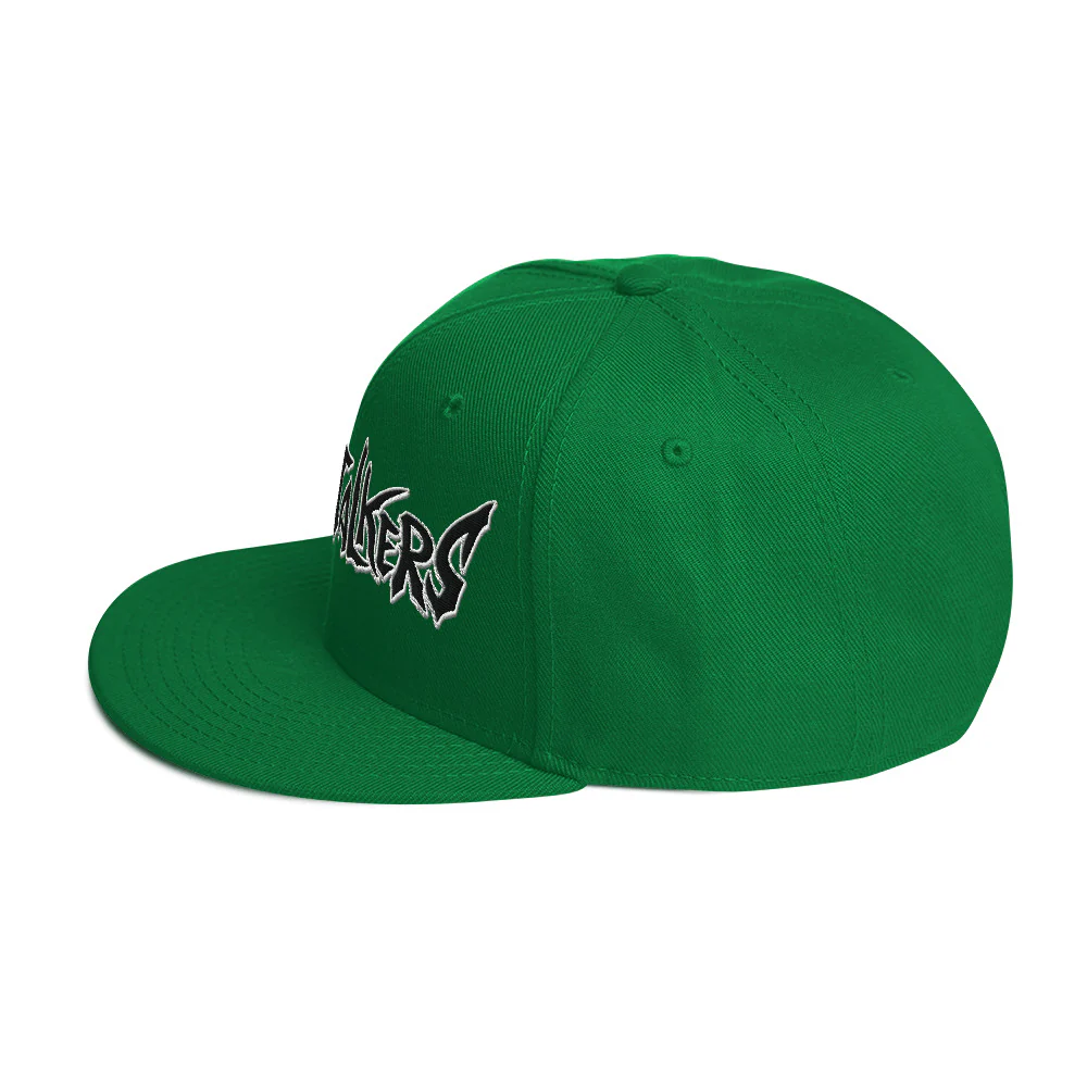 Darkstalkers Snapback Hat - Image 34